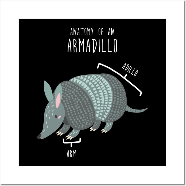 Armadillo Animal Anatomy Wall Art by Psitta